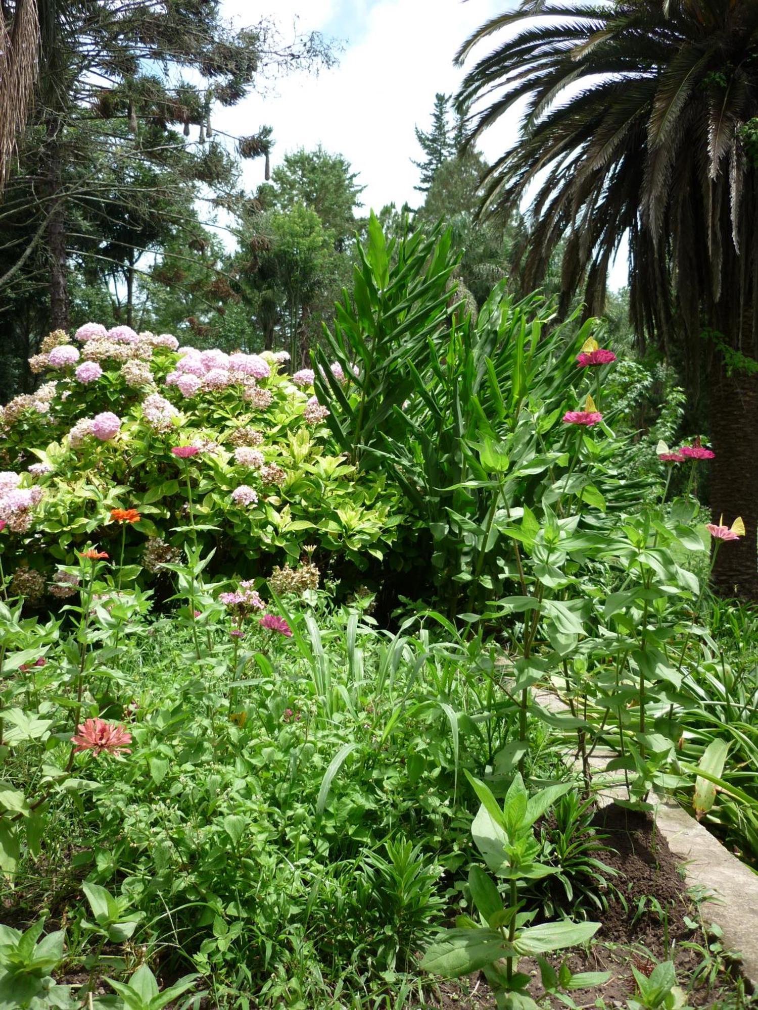Finca La Colorada San Salvador de Jujuy Room photo
